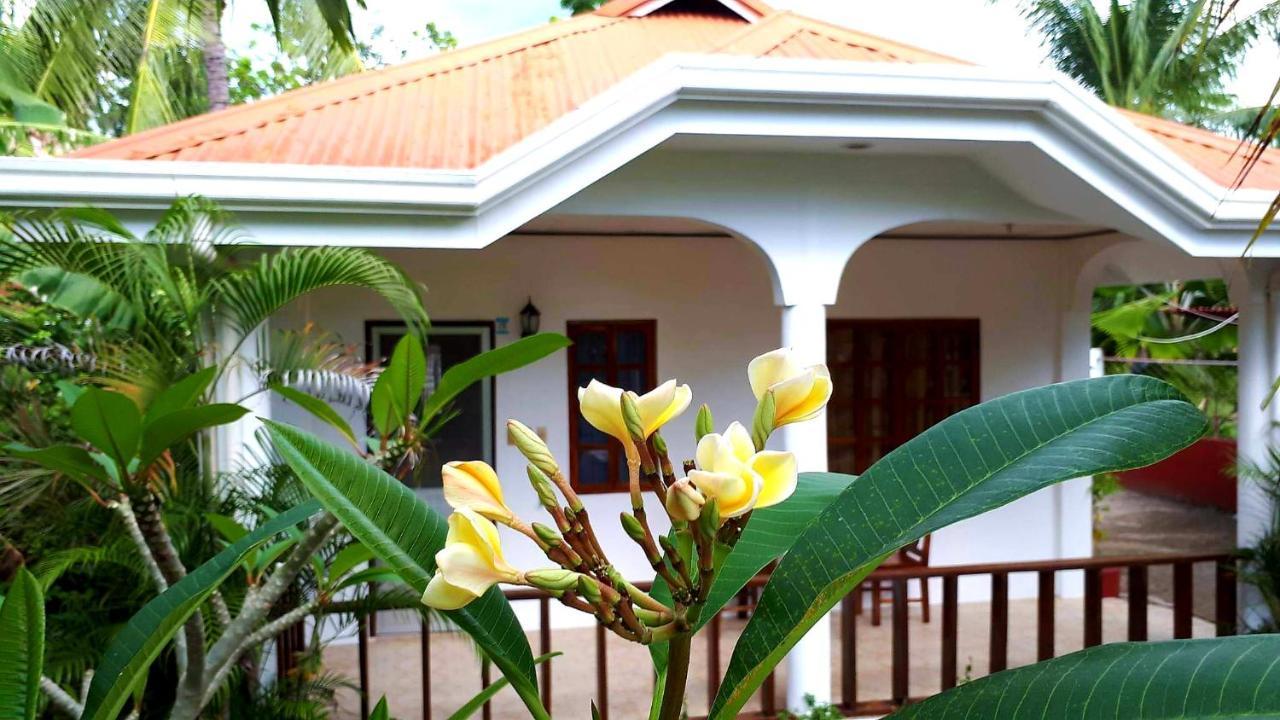 Palmera Palma Private 1-Br Bungalow In Moalboal Exterior foto